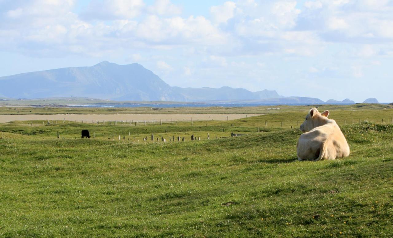 Stripe Bay Leilighet Belmullet Eksteriør bilde